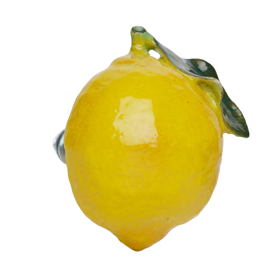 Lemon Door Pull